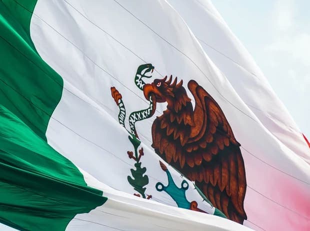 Close-up of the Mexican flag waving in the wind